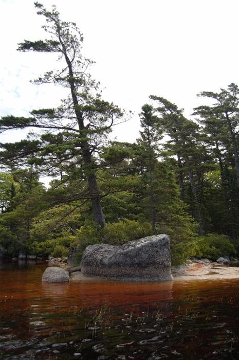 Kanutrip Naturreservat Sporting Lake_60